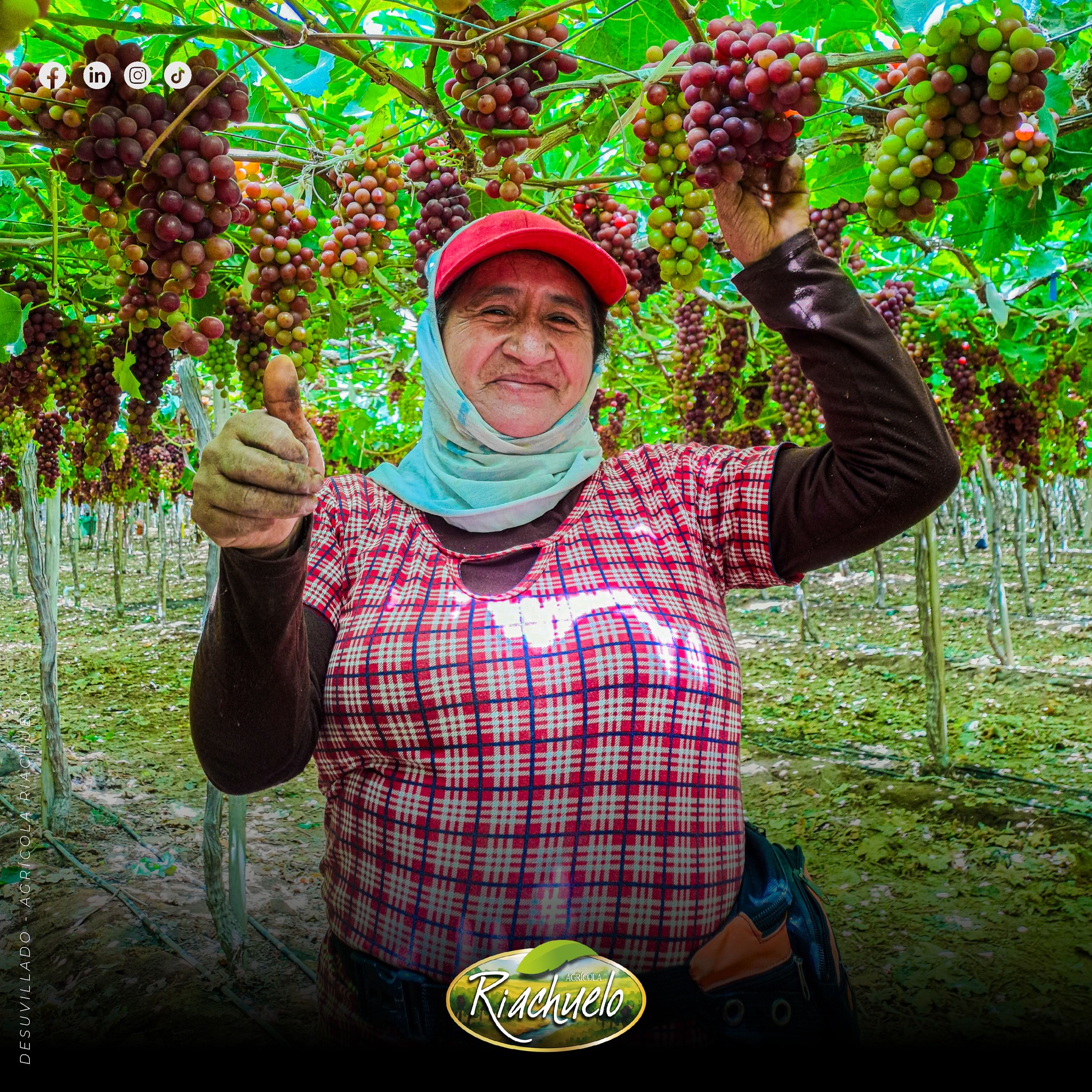 557728233_1374577961339785_9219734127082304508_n