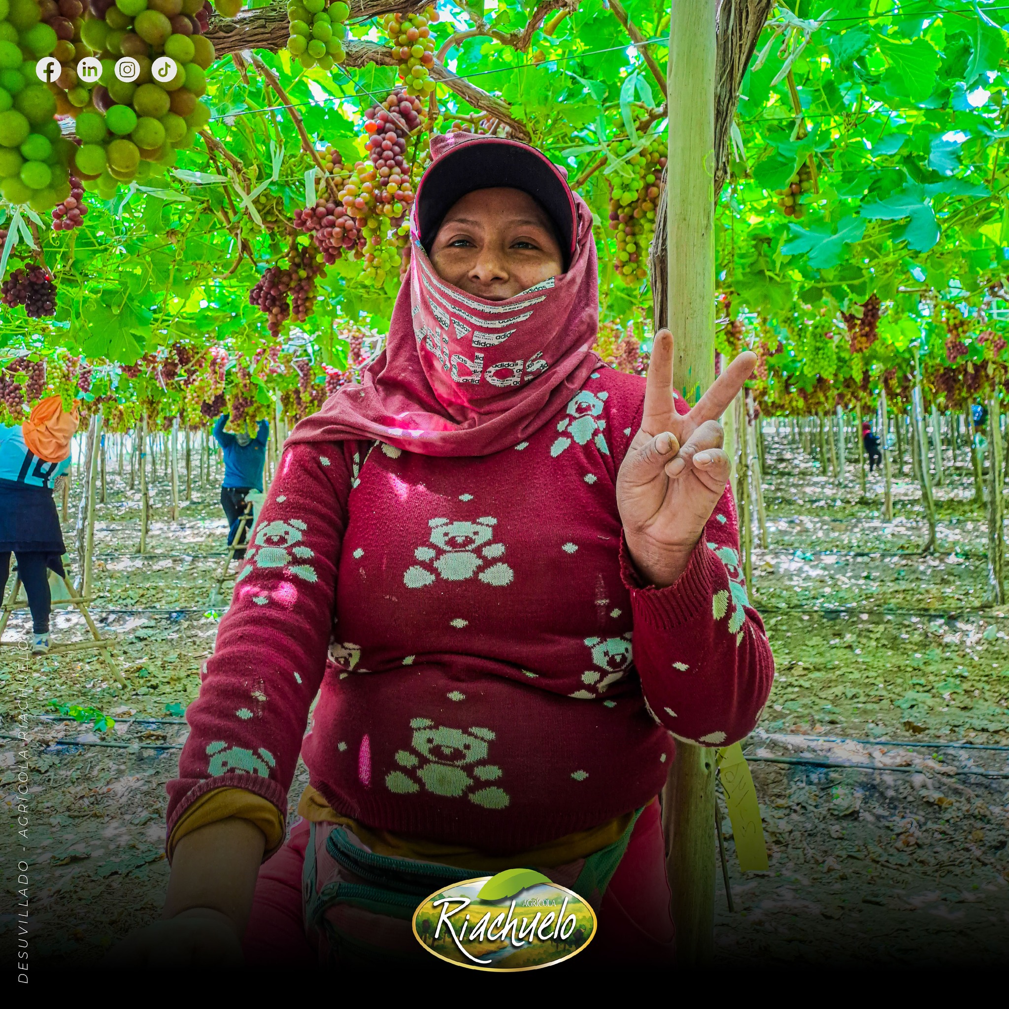 558095311_1374577914673123_1876141819497312870_n