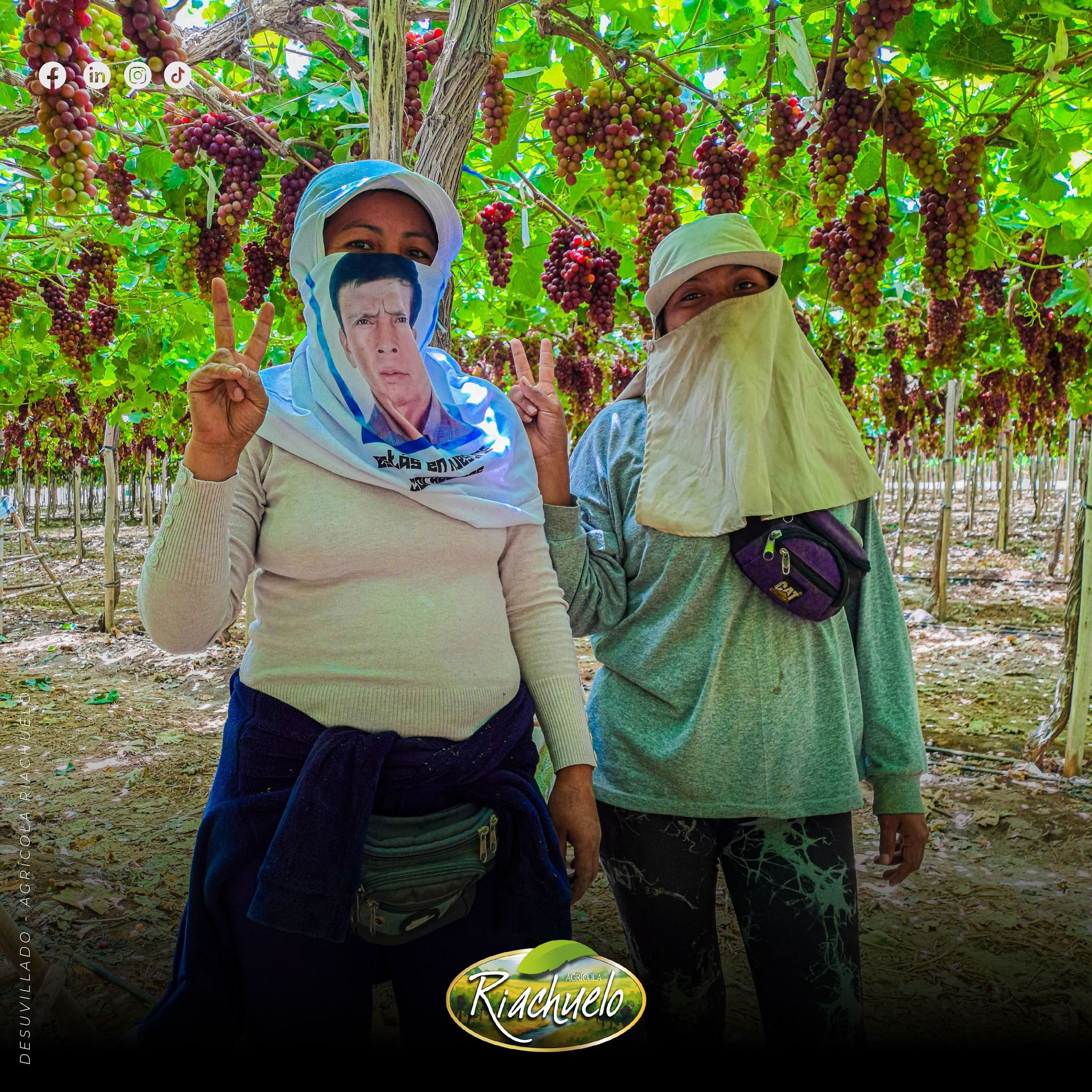 558301486_1374577921339789_3216267207011773226_n