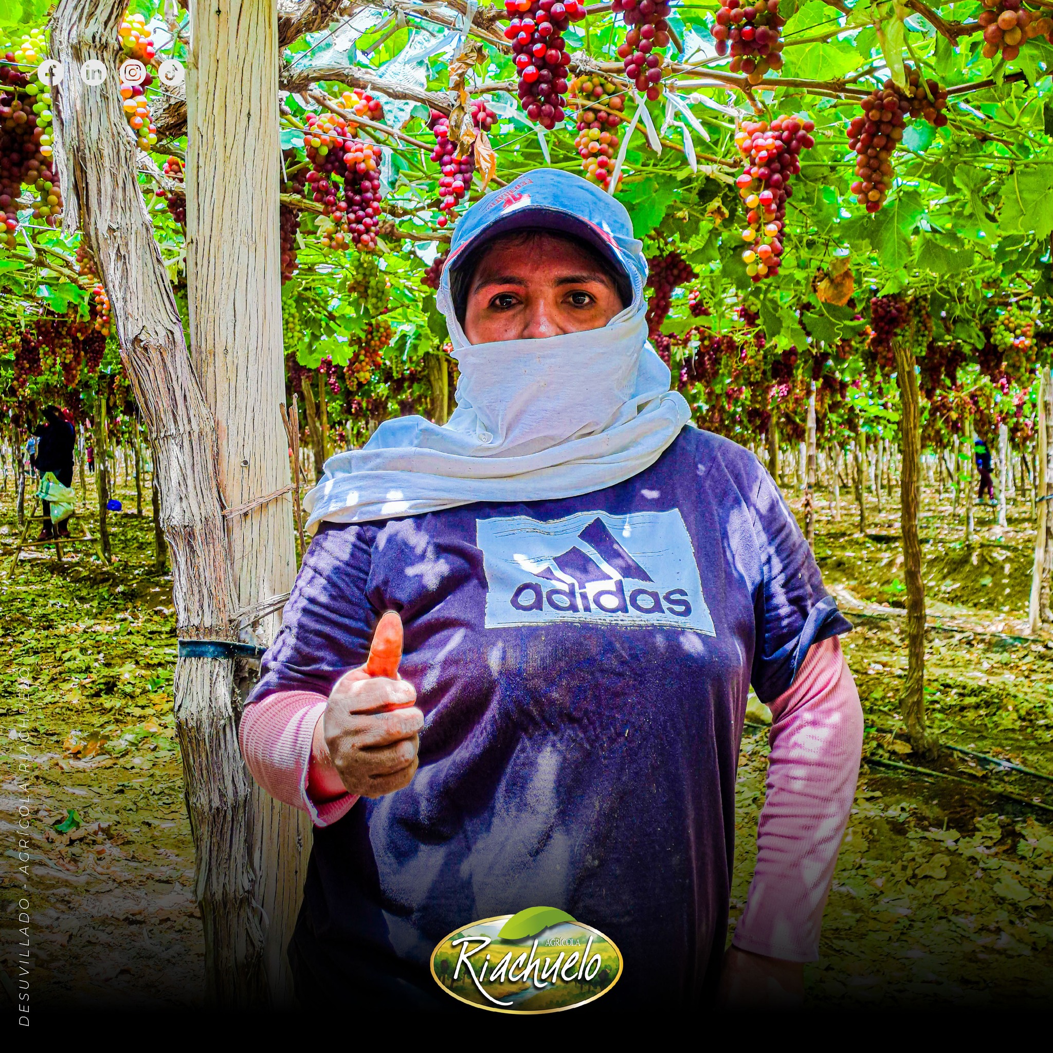 558307686_1374577998006448_4106791266798119466_n